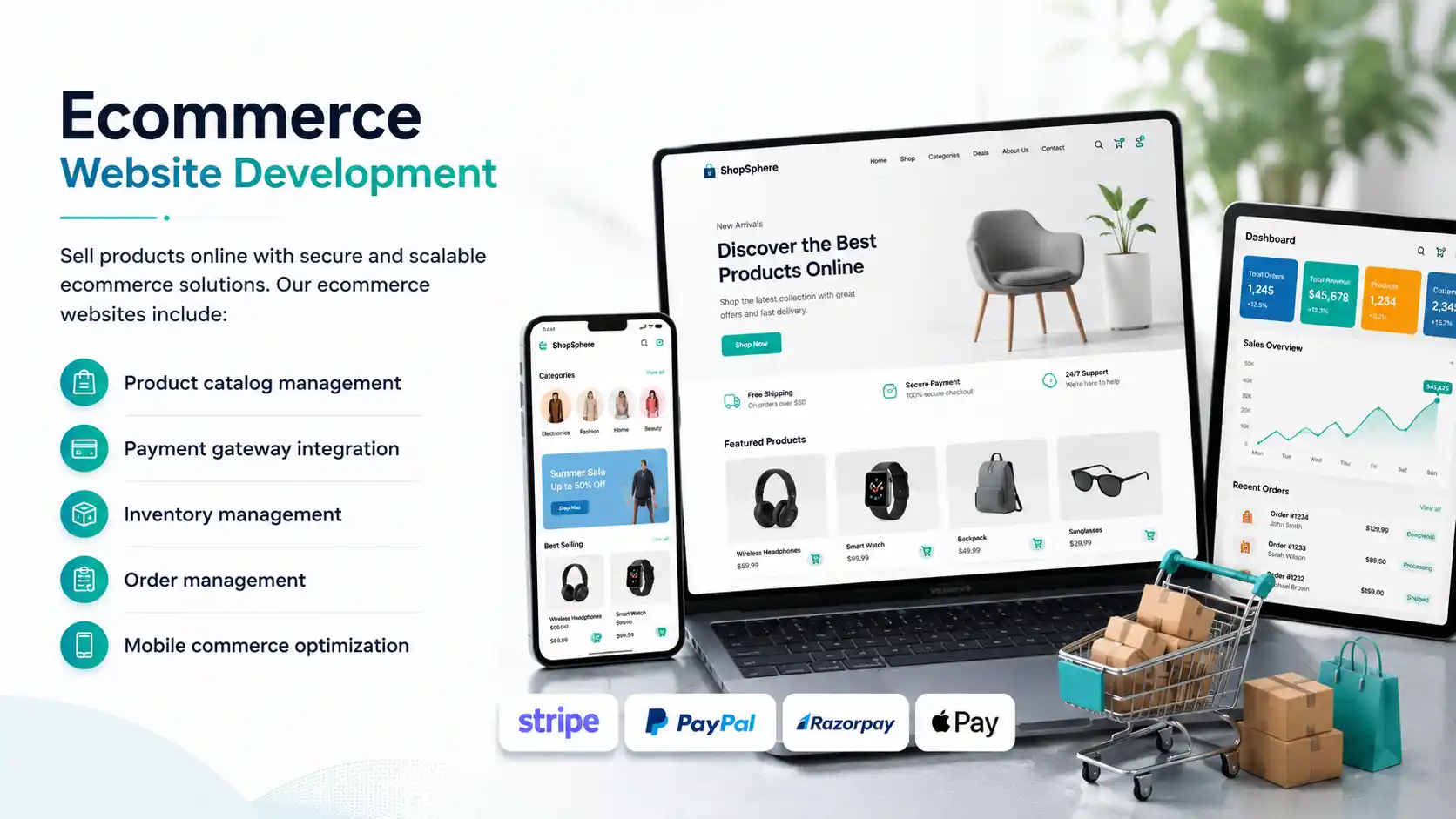 Ecommerce Website Development Services - Rankraze